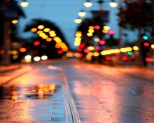 Sfondi City Lights After Rain 220x176