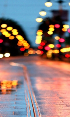 Das City Lights After Rain Wallpaper 240x400