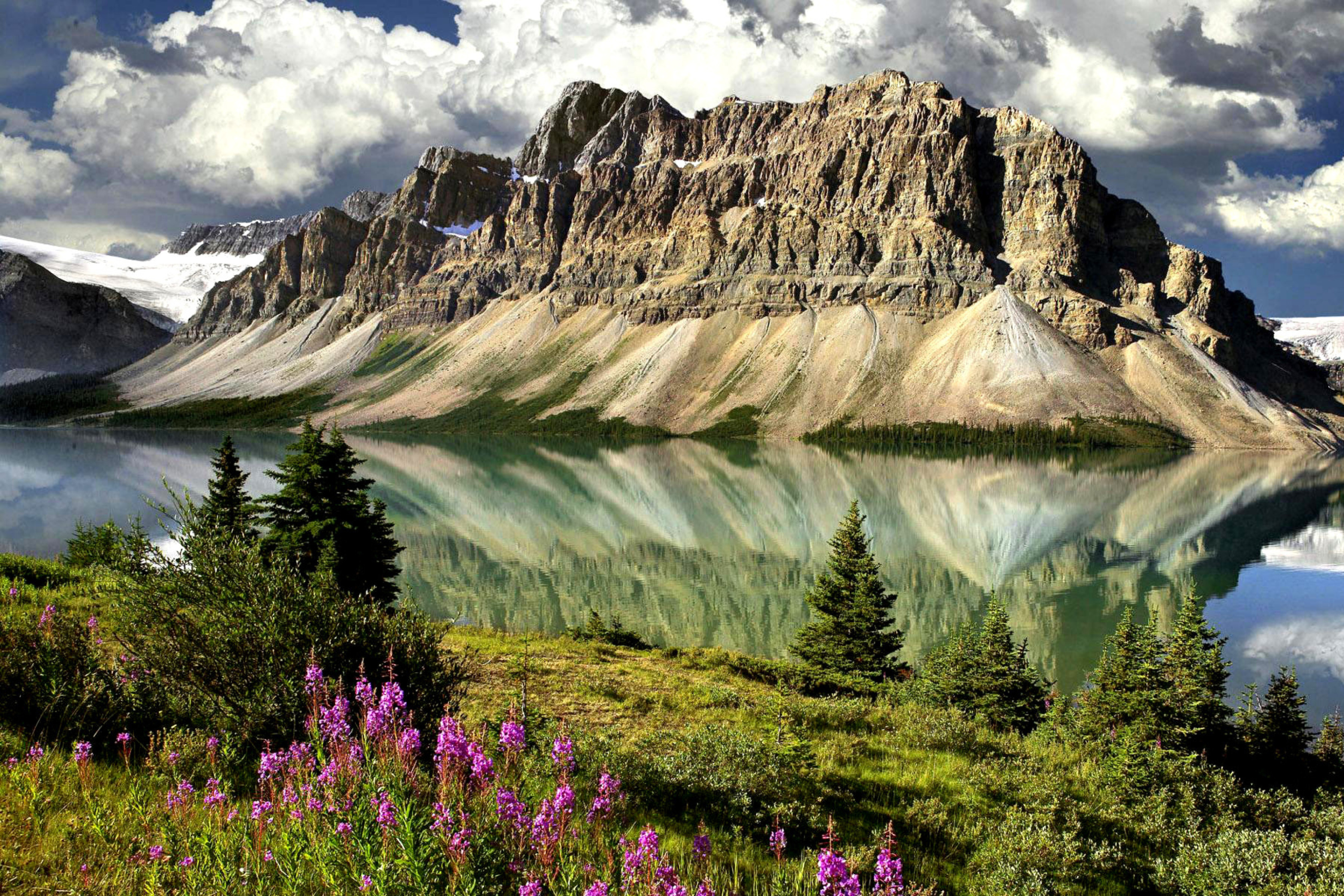 Природная красота. Озеро Пейто Канада. Озеро БОУ Канада. Цветы Канады Банф. Национальный парк Канады.