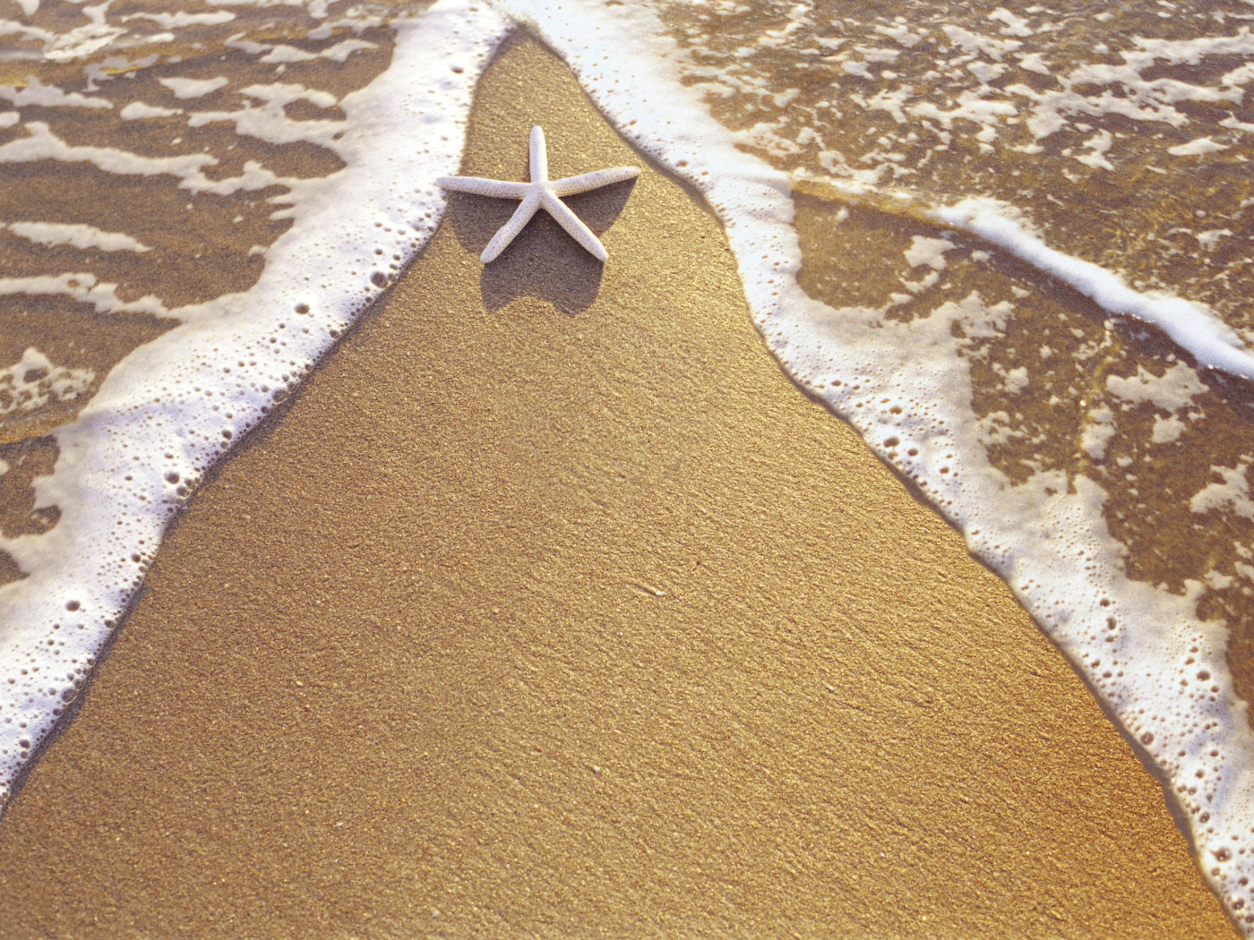 Das Christmas Vacation on Bahamas Wallpaper 1400x1050