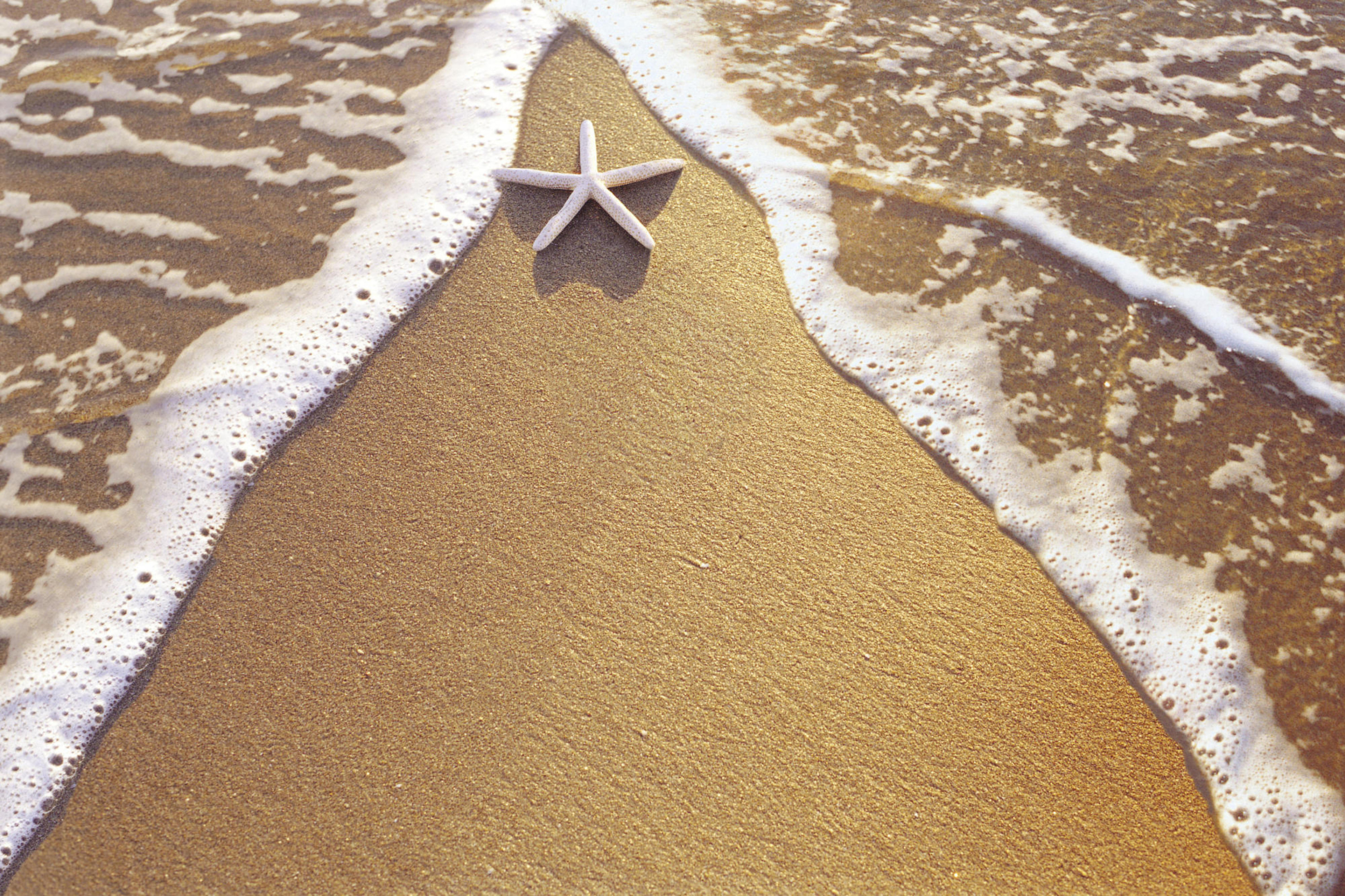 Fondo de pantalla Christmas Vacation on Bahamas 2880x1920