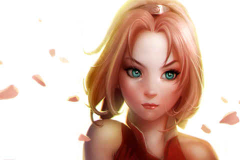 Sakura - Naruto Girl screenshot #1 480x320