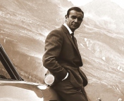 Das James Bond Agent 007 GoldFinger Wallpaper 176x144