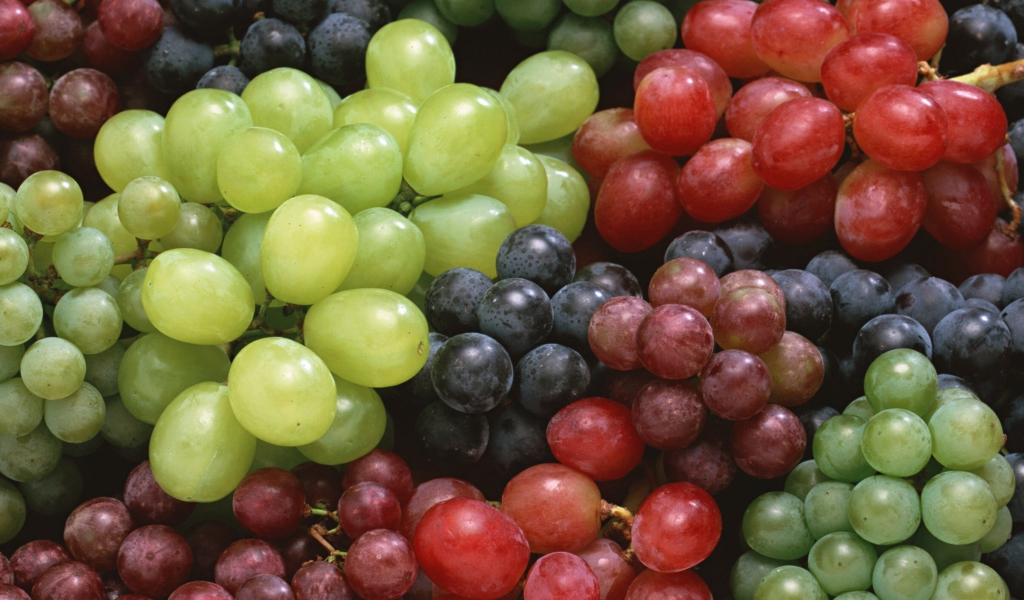 Обои Colorful Grapes 1024x600