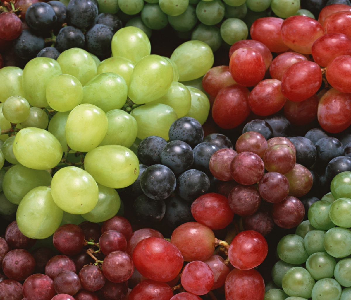 Sfondi Colorful Grapes 1200x1024