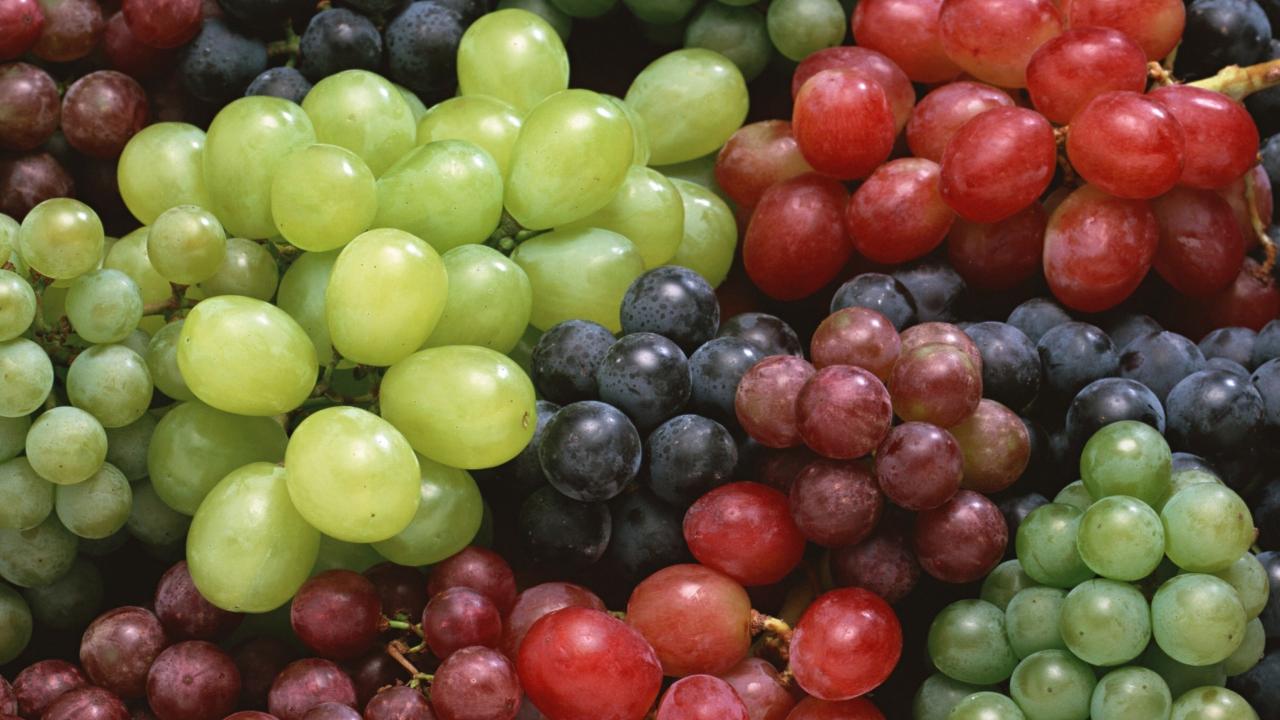 Обои Colorful Grapes 1280x720