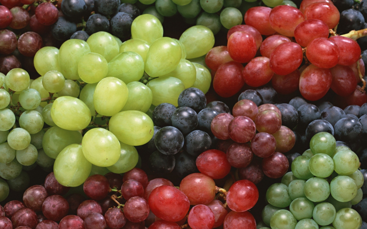 Colorful Grapes screenshot #1 1280x800