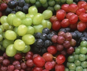 Colorful Grapes wallpaper 176x144
