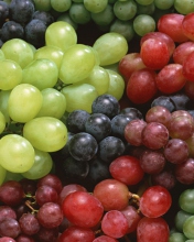 Das Colorful Grapes Wallpaper 176x220