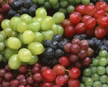 Screenshot №1 pro téma Colorful Grapes 220x176