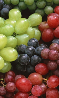Das Colorful Grapes Wallpaper 240x400