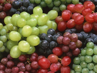 Colorful Grapes wallpaper 320x240