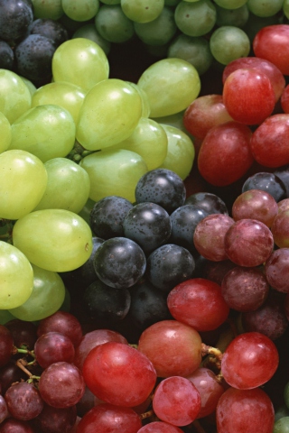 Das Colorful Grapes Wallpaper 320x480