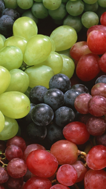 Sfondi Colorful Grapes 360x640