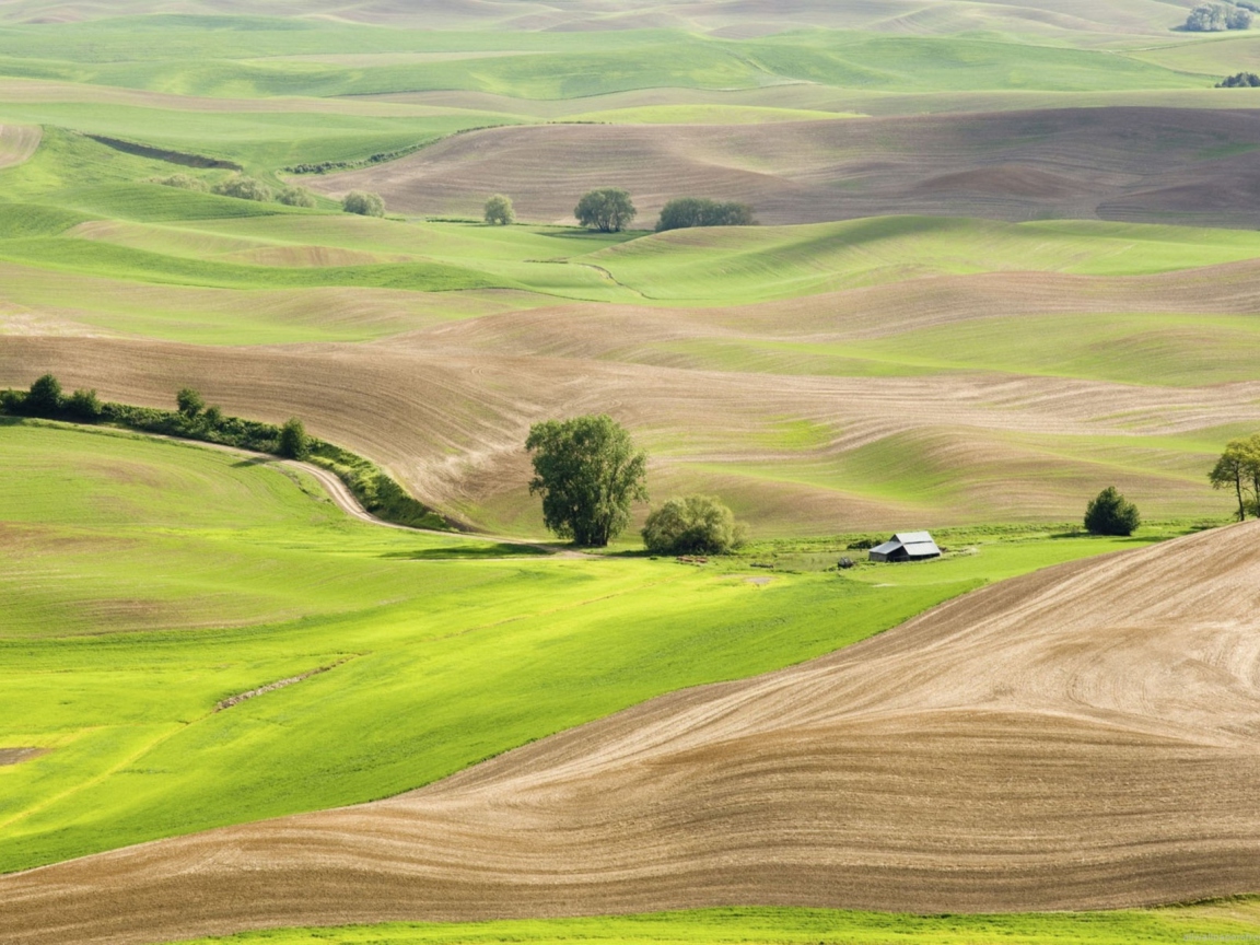 Обои Countryside Landscape 1152x864