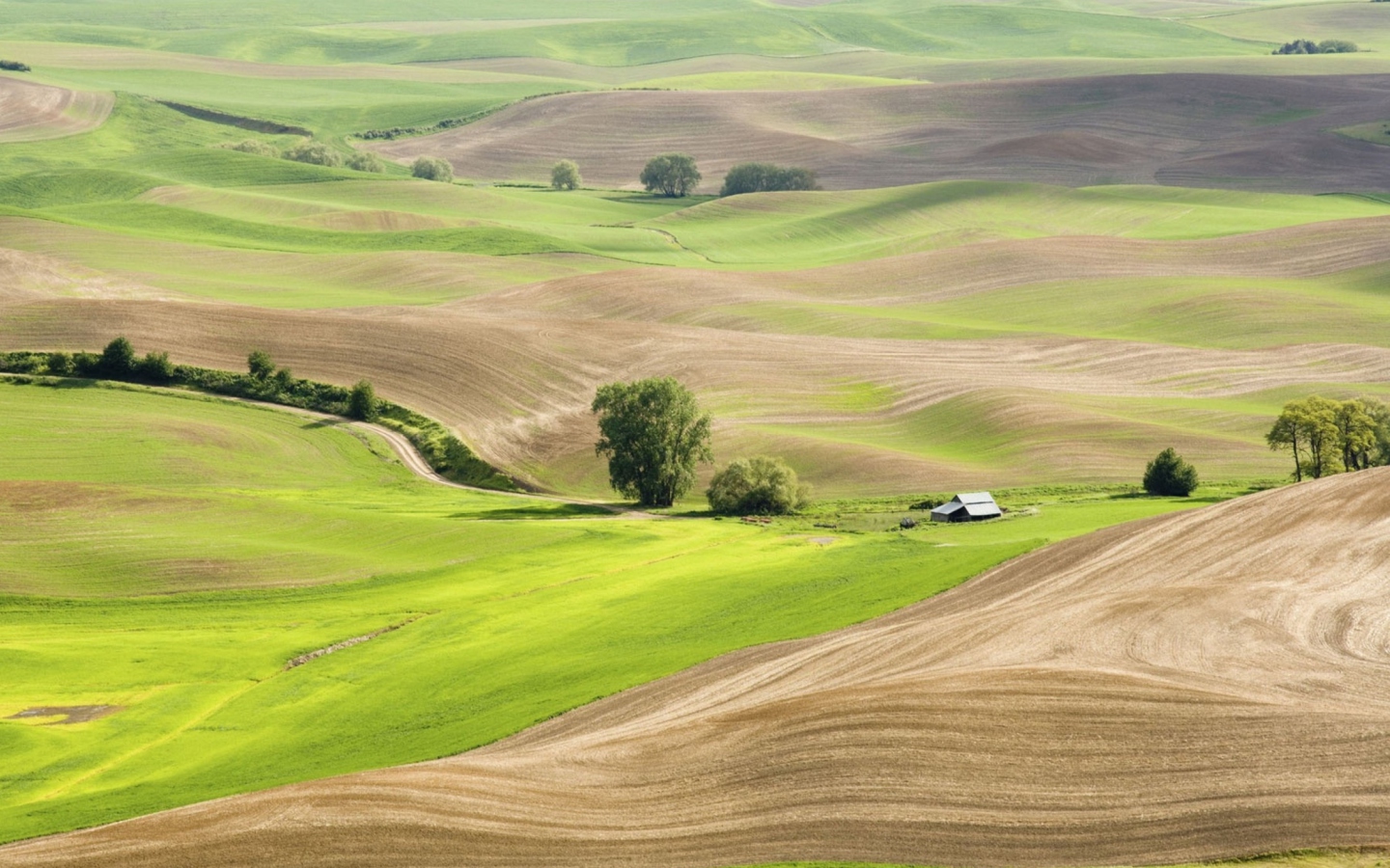 Das Countryside Landscape Wallpaper 1440x900