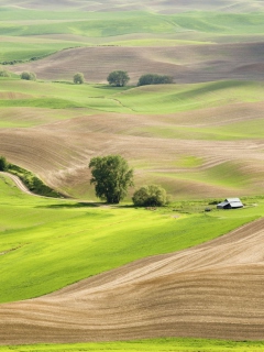 Das Countryside Landscape Wallpaper 240x320