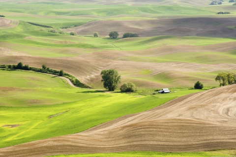 Das Countryside Landscape Wallpaper 480x320