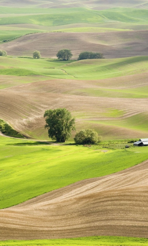 Das Countryside Landscape Wallpaper 480x800