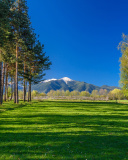 Fondo de pantalla Bulgaria Mountains near Sofia 128x160