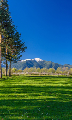 Das Bulgaria Mountains near Sofia Wallpaper 240x400