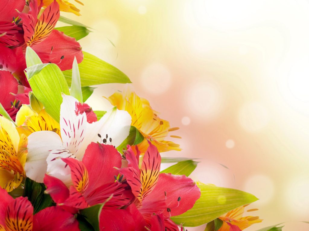 Обои Flowers for the holiday of March 8 1024x768