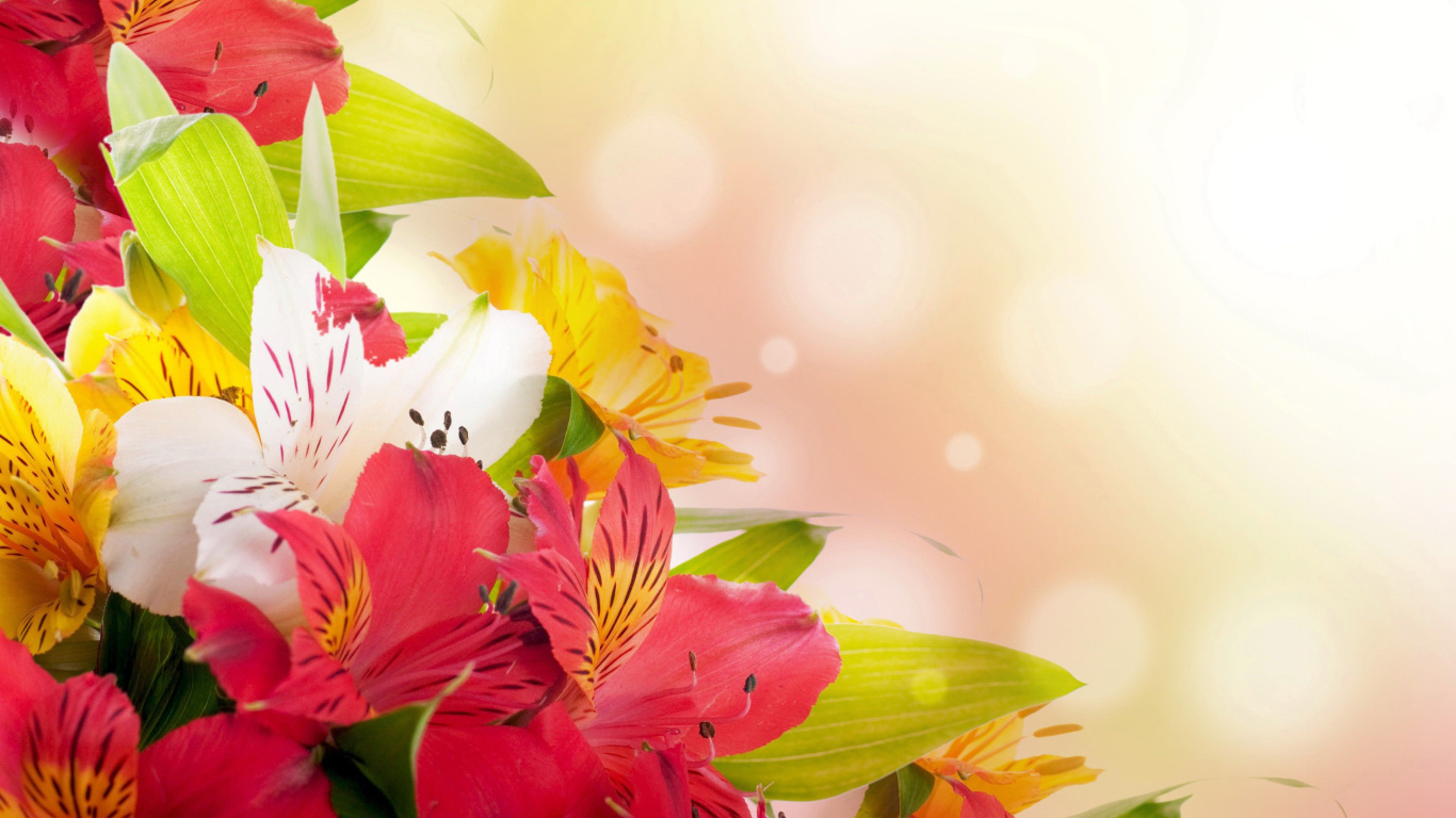 Screenshot №1 pro téma Flowers for the holiday of March 8 1366x768