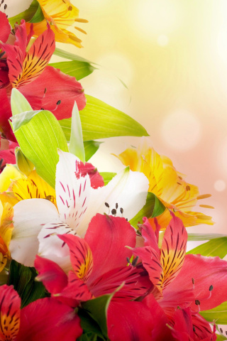 Flowers for the holiday of March 8 wallpaper 320x480