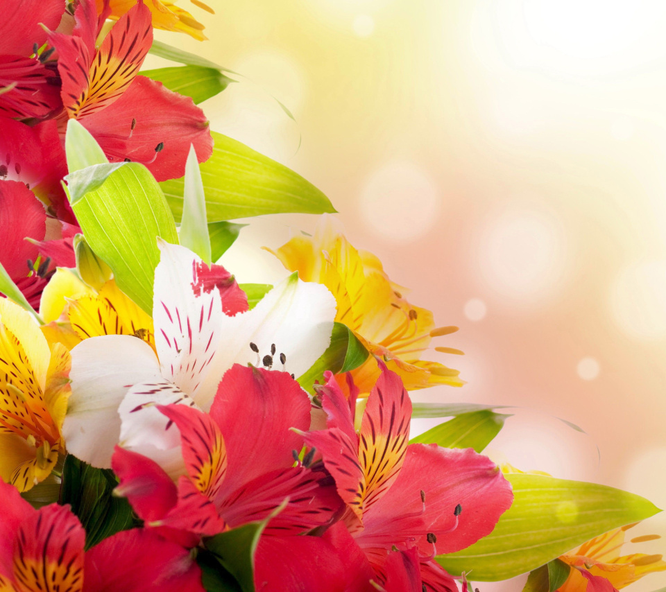 Flowers for the holiday of March 8 wallpaper 960x854