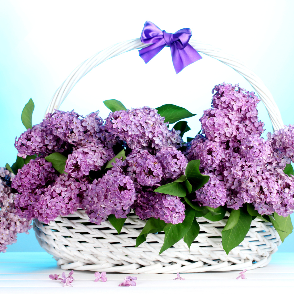 Das Baskets with lilac flowers Wallpaper 1024x1024