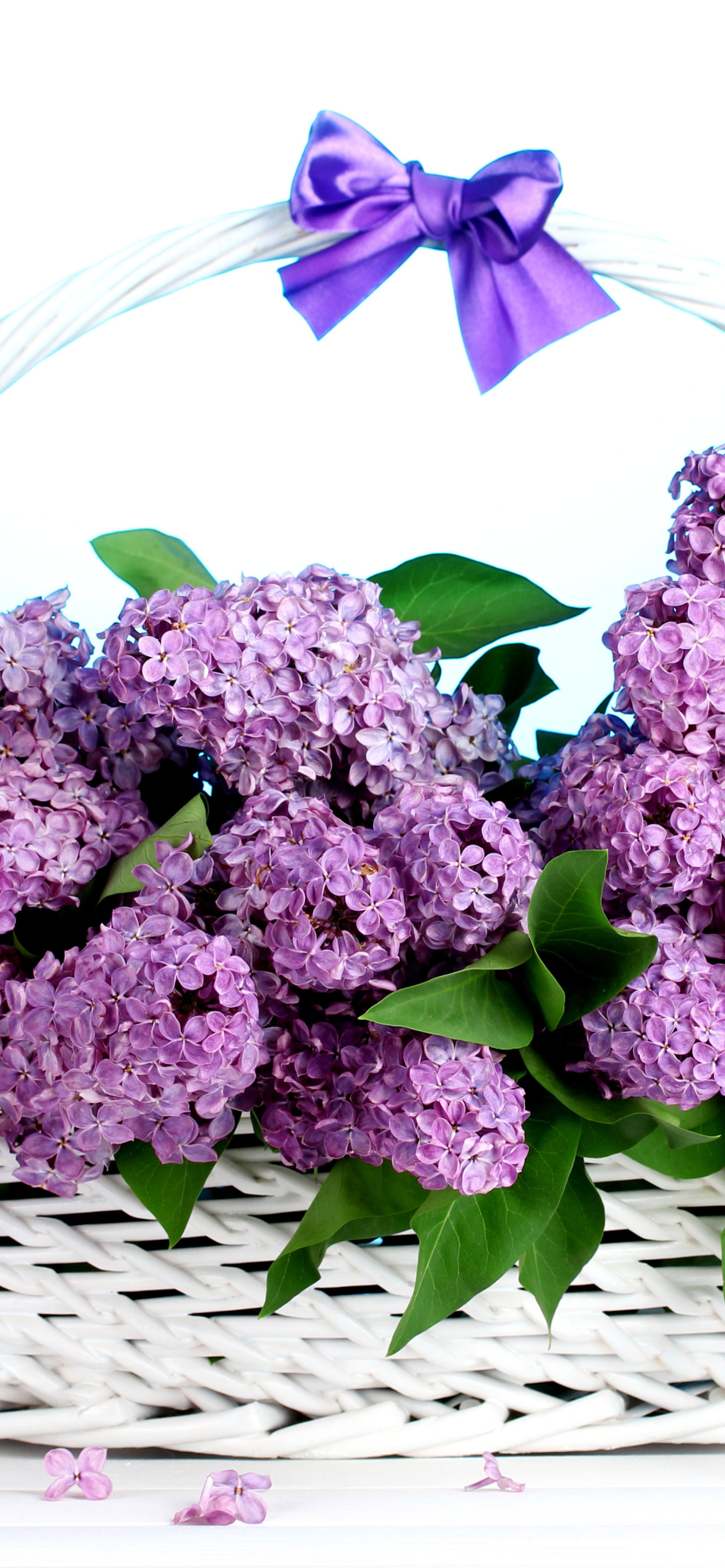 Fondo de pantalla Baskets with lilac flowers 1170x2532