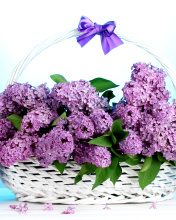 Baskets with lilac flowers wallpaper 176x220