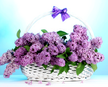 Baskets with lilac flowers wallpaper 220x176