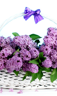 Baskets with lilac flowers wallpaper 240x400