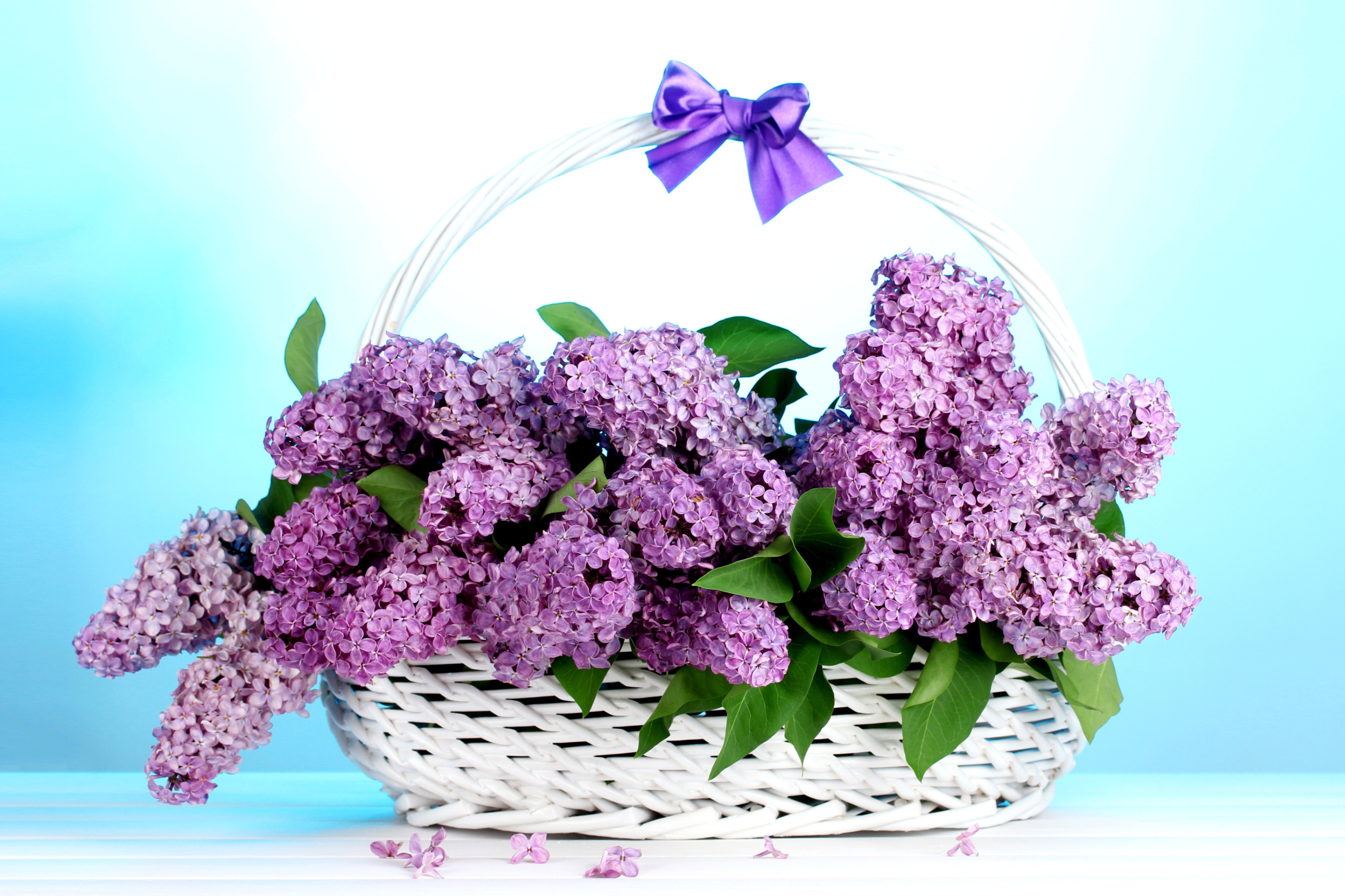 Baskets with lilac flowers screenshot #1 2880x1920