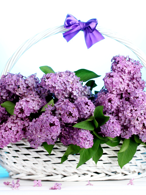 Baskets with lilac flowers wallpaper 480x640