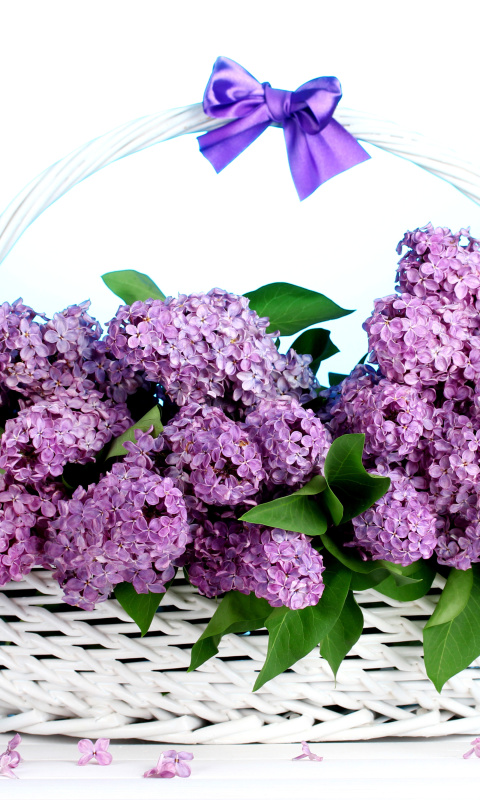Baskets with lilac flowers wallpaper 480x800