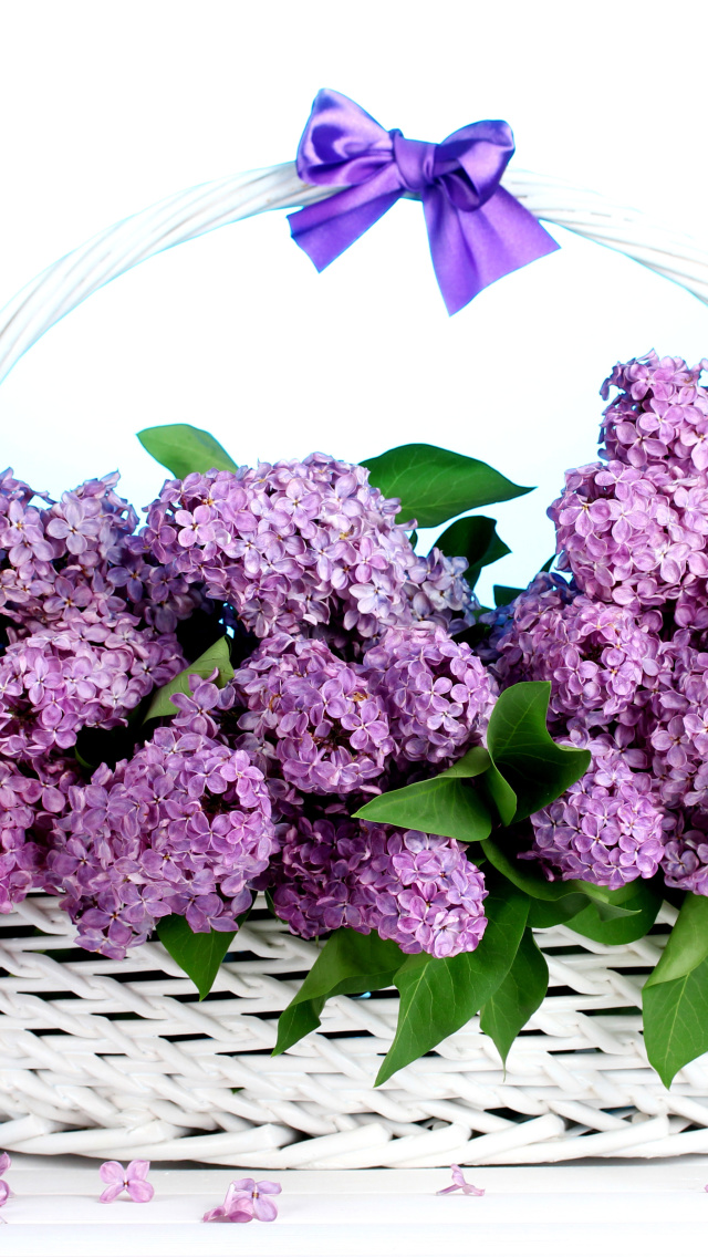 Baskets with lilac flowers wallpaper 640x1136