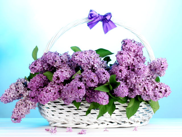 Das Baskets with lilac flowers Wallpaper 640x480