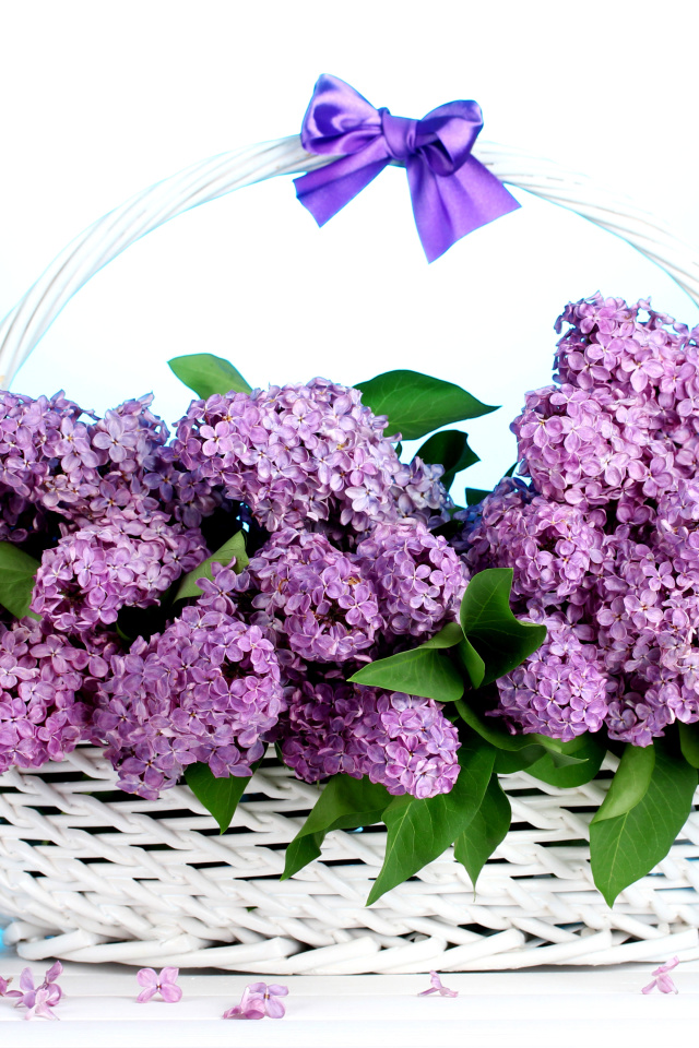 Baskets with lilac flowers wallpaper 640x960