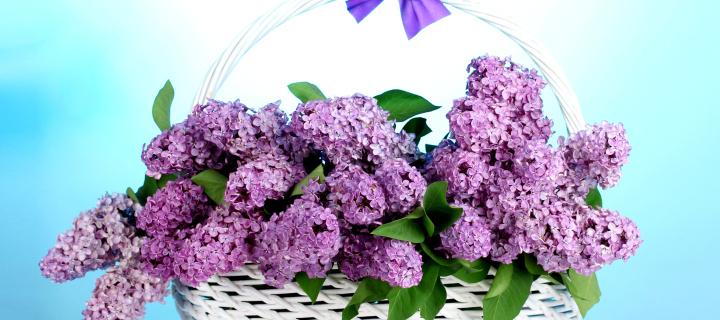 Baskets with lilac flowers wallpaper 720x320