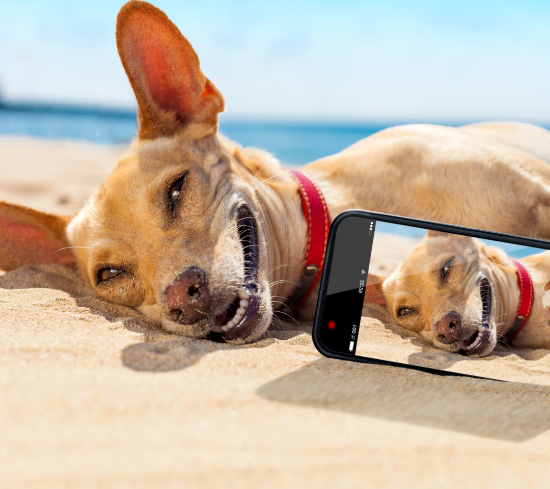 Dog beach selfie on iPhone 7 wallpaper 1080x960