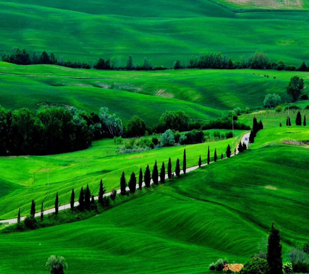 Fondo de pantalla Green Countryside 1080x960