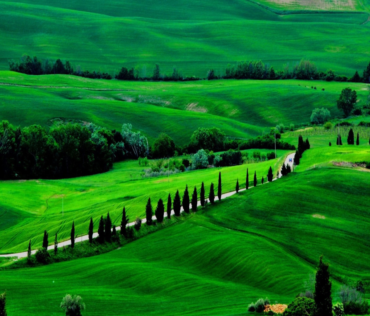 Green Countryside wallpaper 1200x1024