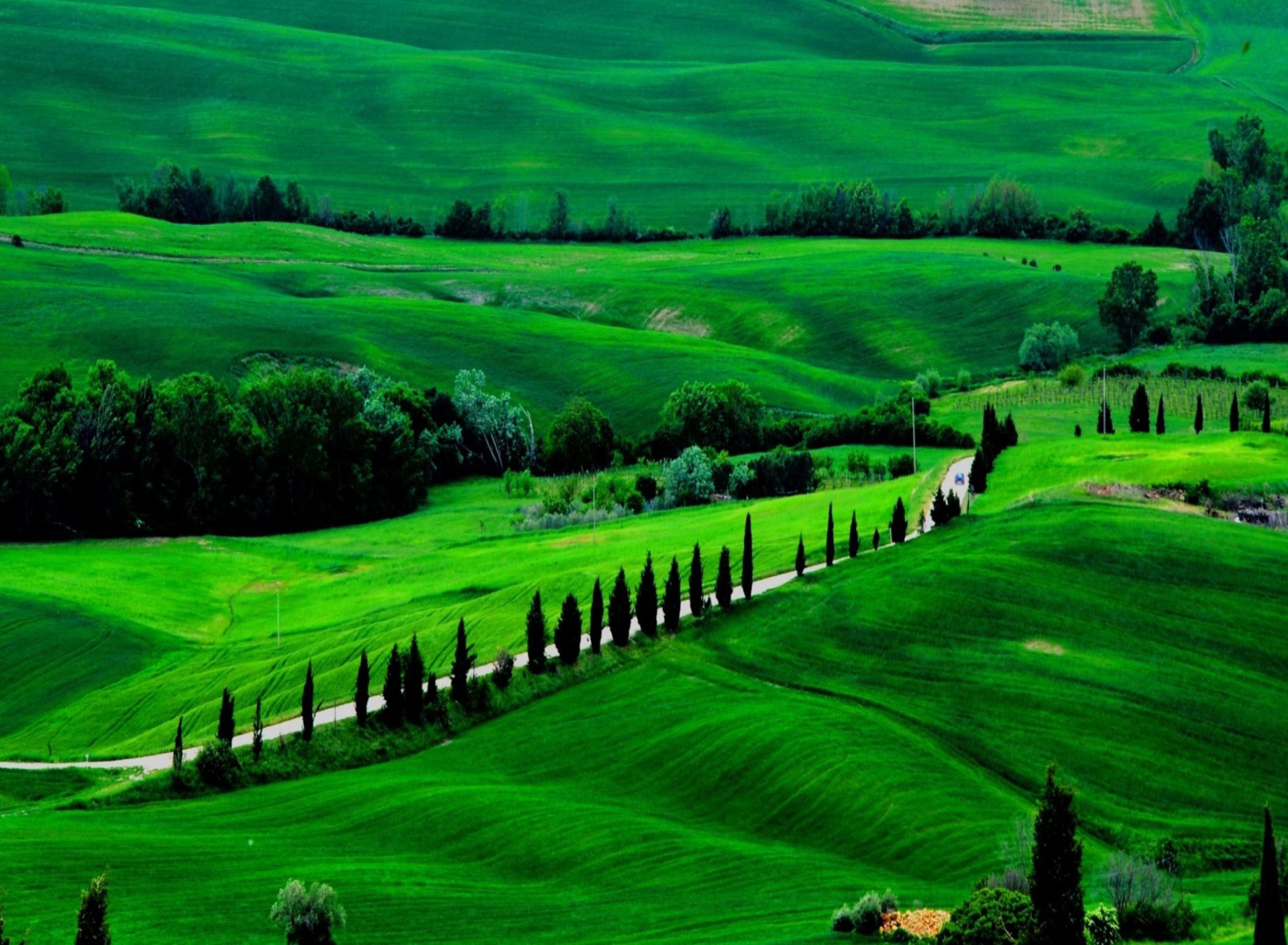 Fondo de pantalla Green Countryside 1920x1408