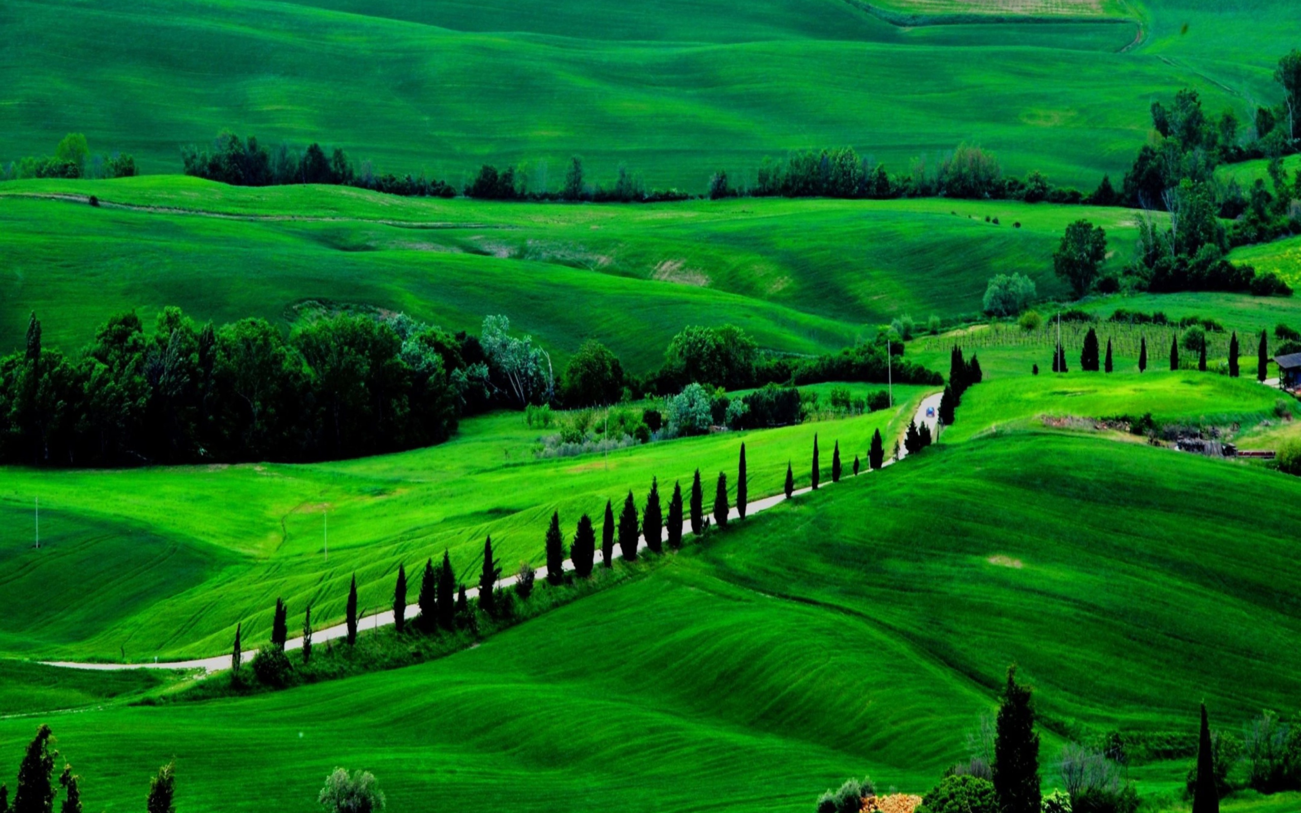 Green Countryside wallpaper 2560x1600