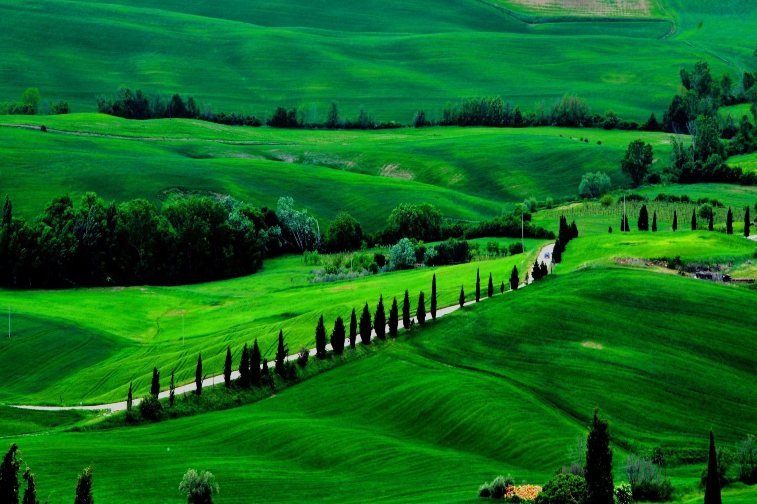 Green Countryside wallpaper 2880x1920