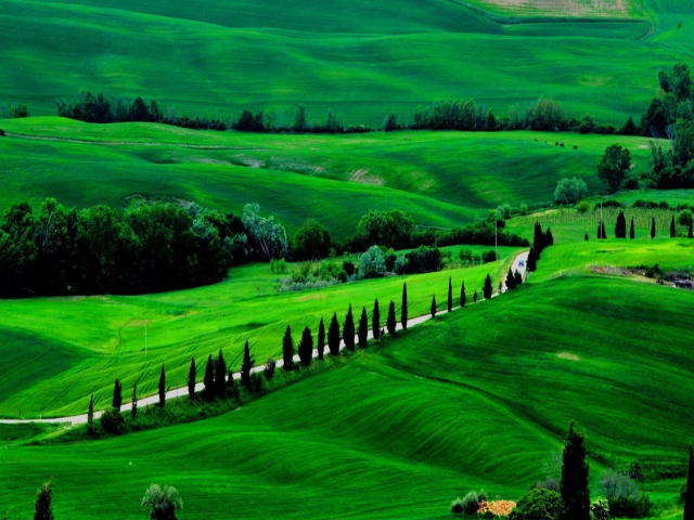 Sfondi Green Countryside 640x480