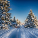 Spruce Forest in Winter screenshot #1 128x128