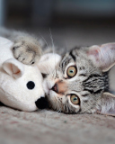 Sfondi Adorable Kitten With Toy Mouse 128x160